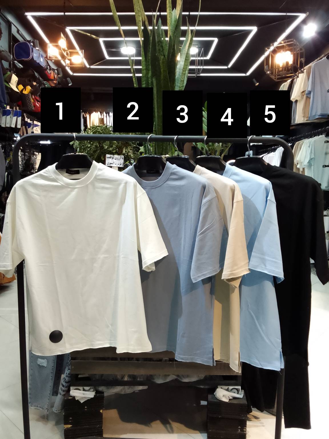 InShot_۲۰۲۵۰۱۲۰_۱۸۵۱۰۸۴۸۸ تیشرت کد 1286 - Image 1