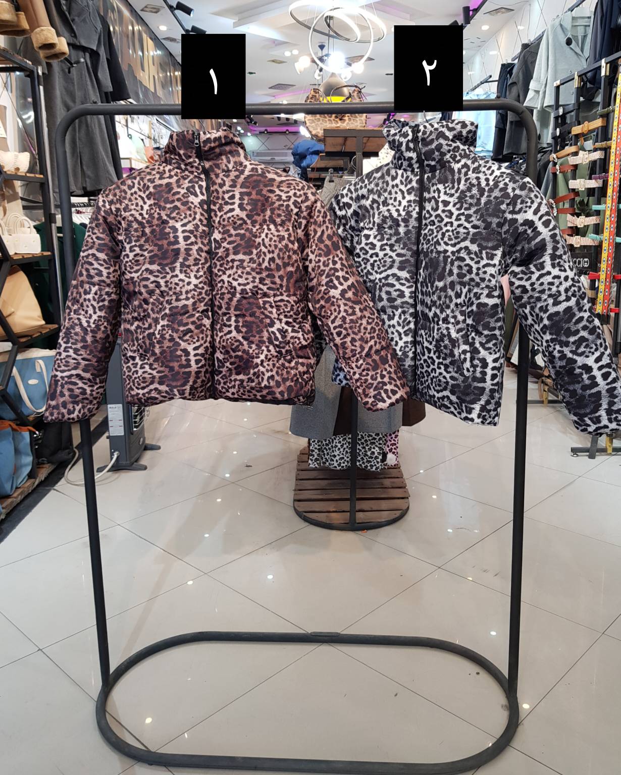 InShot_۲۰۲۵۱۲۰۳_۱۵۱۹۳۲۵۹۹ کاپشن پلنگی 2093 - Image 1